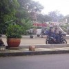 Suasana Taman cirendang, tempat dimana banyak angkutan umum mengangkut para penumpang dan tidak adanya halte bus